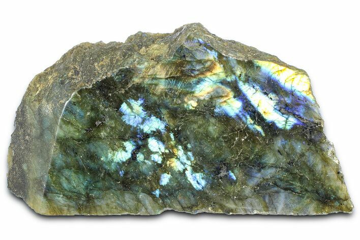 Single Side Polished Labradorite Section - Madagascar #364279